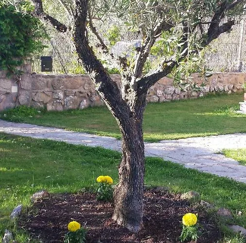 Casa de Campo Turistico La Dehesa *